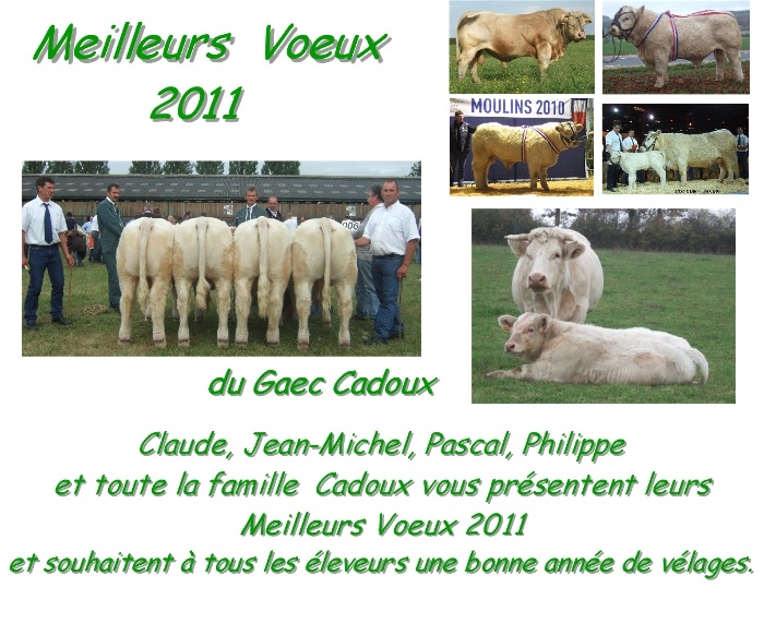 BONNE ANNEE 2011